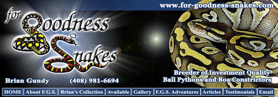 Welcome to the For Goodness Snakes Website