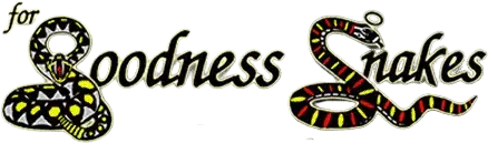 A black and white photo of the word wellness.