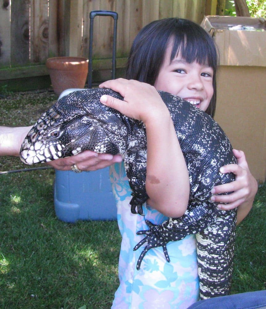 FOR GOODNESS SNAKES
